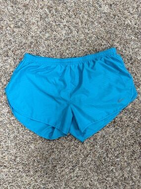 Nike Dri-Fit Moisture Wicking Shorts Size Large